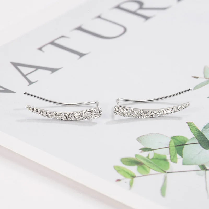 Chique Klimmende Oorbellen - Mijn Oorbellen