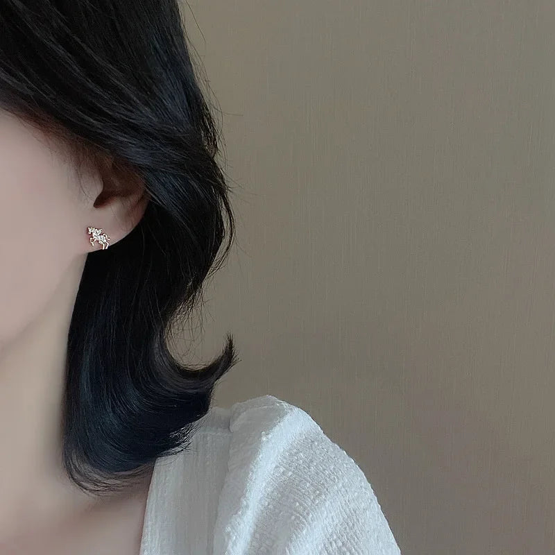 Mini Paardenoorbellen - Mijn Oorbellen