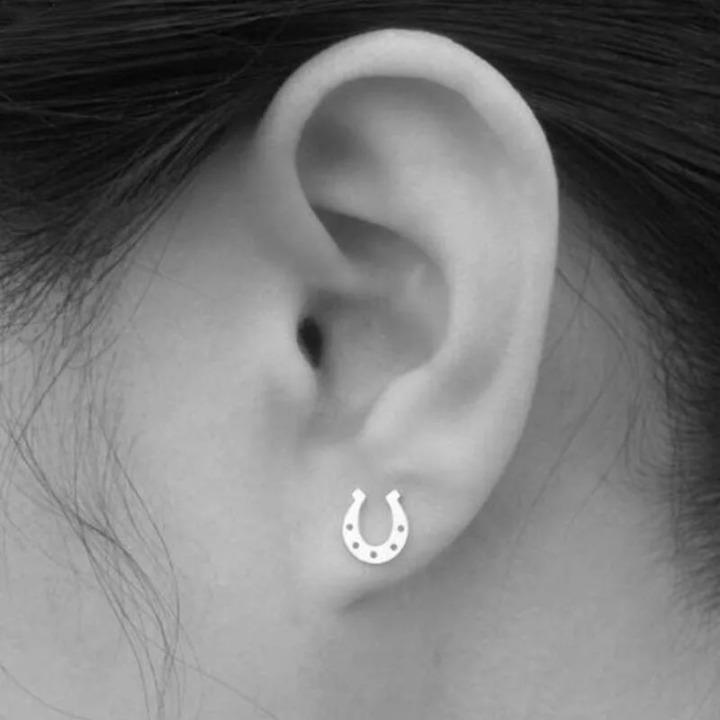 Hoefijzer Oorbellen - Mijn Oorbellen